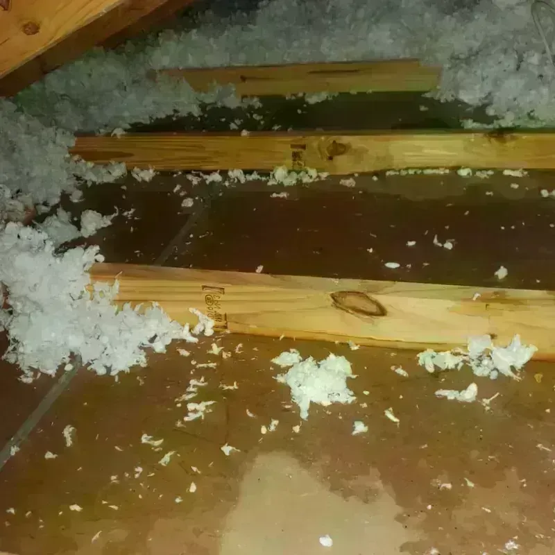 Attic Water Damage in Parowan, UT