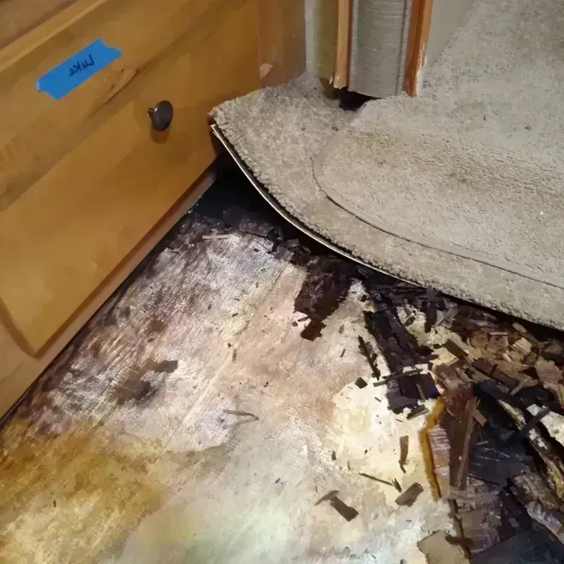 Wood Floor Water Damage in Parowan, UT